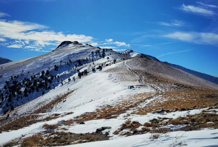 The longest hiking trails in the US offer breathtaking views and unforgettable experiences