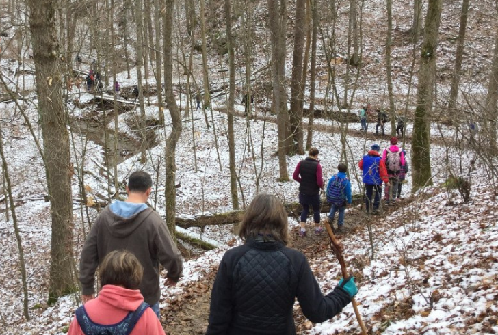 "Whether you're a beginner or an experienced hiker, the longest hiking trails in the US have something for everyone to enjoy.