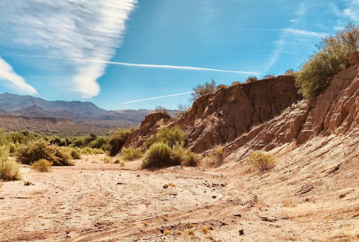 "From the East Coast to the West Coast, the longest hiking trails in the US span across diverse landscapes.
