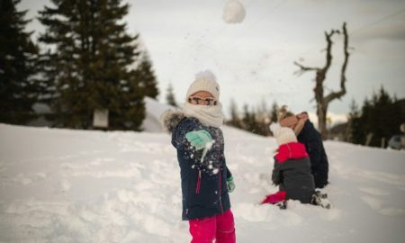 winter snow